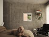 An Enviable Home Office Caps This Duplex Renovation in Montreal - Photo 16 of 20 - 