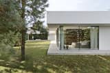 At First, Their Home’s Plan Didn’t Fit Into the Forest—So They Wove It Between the Trees - Photo 5 of 16 - 