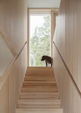 Why Does This Swedish Home Look So Crisp? The Wood Cladding Doesn’t Have Any Knots - Photo 11 of 12 - 