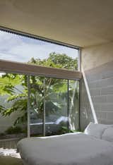 In this London, it is so greenery, hard to know that you are in town - Photo 11 of 16 - 