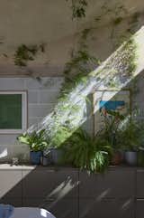 In this London, it is so greenery, hardly you knew you were in town - Photo 12 of 16 - 