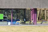 A U.K. Farmstead Tests the Limits of Country Living—Down to a Hot Pink Structure - Photo 10 of 19 - 