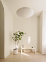 In the entry, a bench from Mary Ratcliffe Studio sets the tone for the airy interiors.
