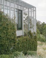 Why this suburban Melbourne Home has no air conditioning - Photo 9 of 18 - 