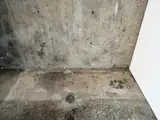 Hand and footprints embedded in the concrete foundation decades ago survived the fire and were preserved—and displayed—in the new home.