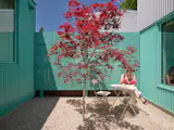 A single Japanese maple tree is planted in the courtyard, a call back to the backyard of their first home in Halifax.