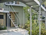 A Curvy Catwalk Dotted With Plants Buffers a Tokyo Home From the Street