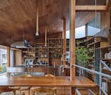 A Curvy Catwalk Dotted With Plants Buffers a Tokyo Home From the Street