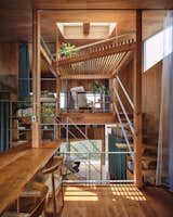 A Curvy Catwalk Dotted With Plants Buffers a Tokyo Home From the Street