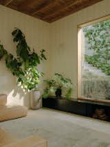 An Expansion Preserves What Makes This Brisbane Midcentury So Renowned