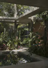 The Forest Is the Living Room at This Concrete Paraguay Retreat - Photo 7 of 19 - 