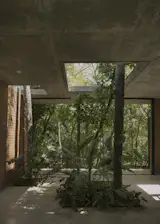 The Forest Is the Living Room at This Concrete Paraguay Retreat - Photo 8 of 19 - 