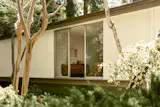 Lush Foliage Surrounds This Serene Pasadena Midcentury Listed for $3.9M - Photo 11 of 15 - 