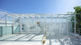 A Rooftop Glass Box Is the Crown Jewel of This Office Turned Home in Buenos Aires