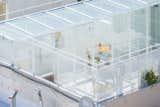 A Rooftop Glass Box Is the Crown Jewel of This Office Turned Home in Buenos Aires