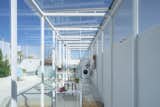 A Rooftop Glass Box Is the Crown Jewel of This Office Turned Home in Buenos Aires