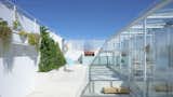 A Rooftop Glass Box Is the Crown Jewel of This Office Turned Home in Buenos Aires
