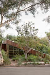 The Green Roof of This Australian Home Is Basically a Neighborhood Park