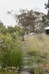 The Green Roof of This Australian Home Is Basically a Neighborhood Park