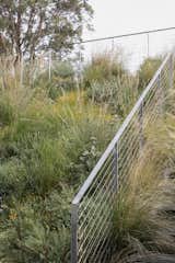 The Green Roof of This Australian Home Is Basically a Neighborhood Park