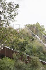 The Green Roof of This Australian Home Is Basically a Neighborhood Park