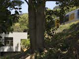 Who Needs an Ocean View? Not This Introverted Australian Home