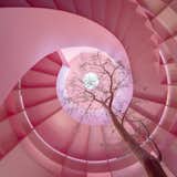 A Pink Stair With an Atrium and Bookshelves Revives This 1930s Mexico City Home