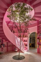 A Pink Stair With an Atrium and Bookshelves Revives This 1930s Mexico City Home