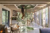 Almost Every Wall Is Glass at This Prefab Cabin in a Chilean Rainforest