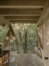 Almost Every Wall Is Glass at This Prefab Cabin in a Chilean Rainforest