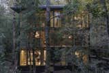 Almost Every Wall Is Glass at This Prefab Cabin in a Chilean Rainforest