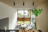 In Slovenia, Two 1950s Terrace Homes Trade Tiny Rooms for Light-Filled Vertical Layouts
