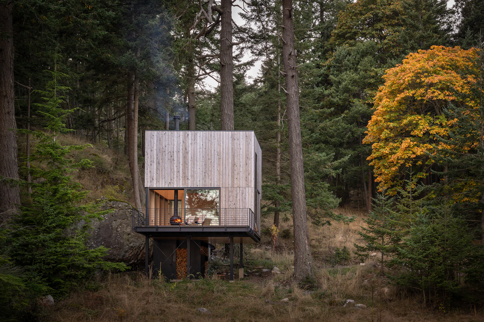 アメリカ・ワシントン州の森に浮かぶ高床の小屋「Blakely Cabin」の写真 1/8