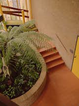 The Double-Height Atrium Is Still the Best Part of This Revived ’70s Australian Home