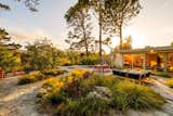 Eichler Homes Are Rare in San Francisco. Here’s a Stunner for $3.5M