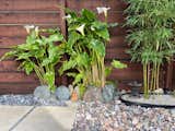 Yard landscaping