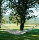 Hammock in the Orchard