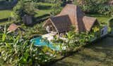 Villa Bareng Bareng in the Rice Paddies in Penestanan Kaja