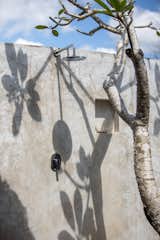 Frangipani shadow. play in private outdoor bath