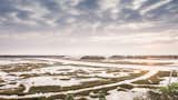 Views of the Stono River, as seen from Black Pond.