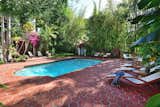 Backyard Oasis