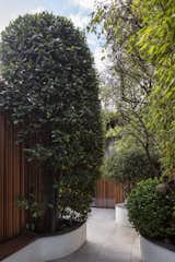 Timber Slatting Steals the Show at This Renovated Terrace House in London - Photo 10 of 14 - 