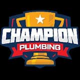 Your water heater is an important part of your plumbing system. No one likes the shock of cold water when they jump into a shower expecting to get warmed up and ready for the day. When your water heater is old, it may need replaced, or at least some general repairs. This can get expensive if you do not work with the right professionals. At Champion Plumbing in Midwest City, OK, our team can provide same day service and flat rate pricing on all your water heater repair and installation needs. We have the experience to help, whether you need a traditional or a tankless water heater taken care of. Contact our team at Champion Plumbing today to see how we can quickly fix your water heater and give you back all that warm water!

Champion Plumbing

2350 S Midwest Blvd, Suite 4, Midwest City, OK 73110

405-889-1318

https://callthechamps.com