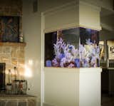 Residential / Saltwater Fish tank