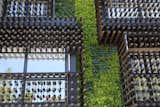 The wooden lattice windows on the sides of the vertical garden are movable,
it reduces the strong sunlight of the climate and provides privacy for the traces behind it