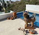 Terrace with pool and sculpture by Honorio Cruz