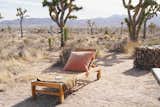 Day bed on 5-acres