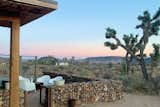 Fire pit, gabion fencing, our lovely Joshua Trees :)
