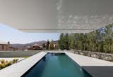 Outdoor, Back Yard, and Large Pools, Tubs, Shower  Photo 9 of 42 in CANTILEVER HOUSE by Amin Haghighat Gou