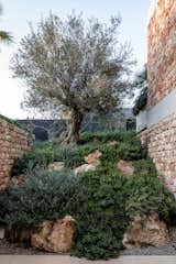 Outdoor, Side Yard, Shrubs, Trees, and Boulders  Photo 20 of 50 in Casa Fly by BEEF architekti